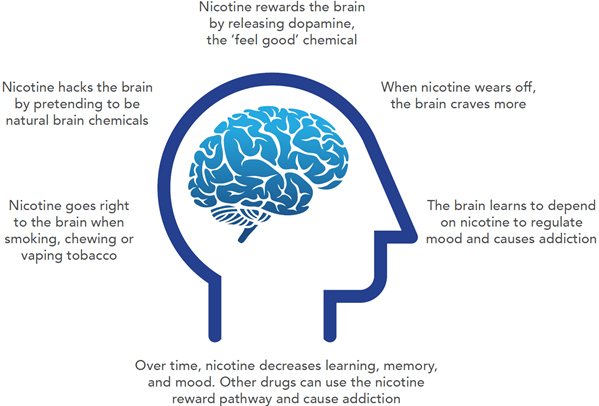Hownicotineworks.png Hownicotineworks.png